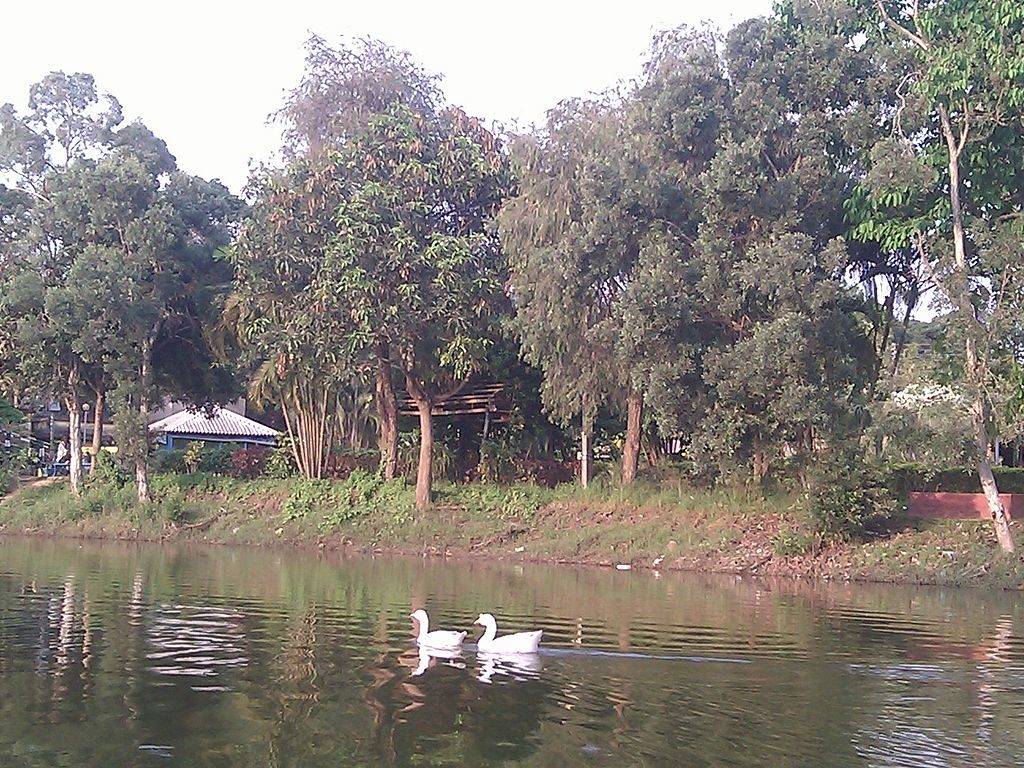 Amravati Lake near Digha