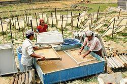 Paper Making near Kalimpong