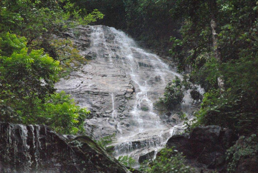 White water falling down the Kanchenjungha Falls near Pelling
