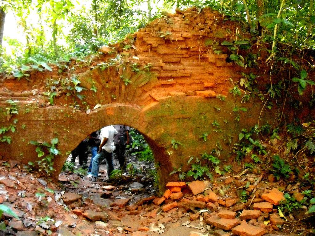 Nalraja Garh at Chilapata forest