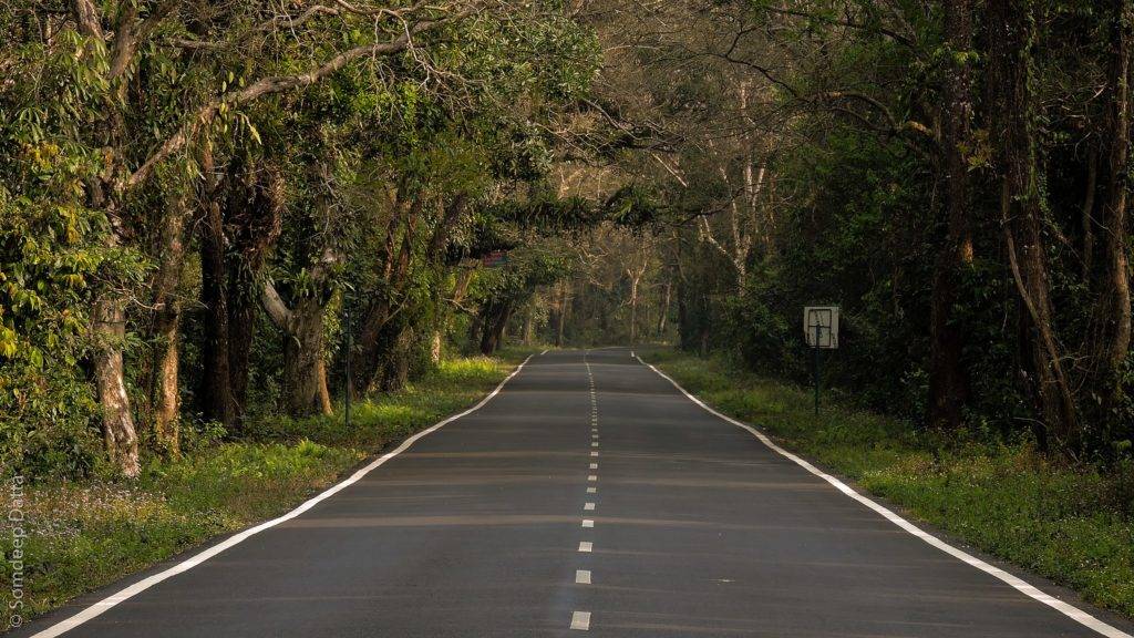 National Highway going through Lataguri forest