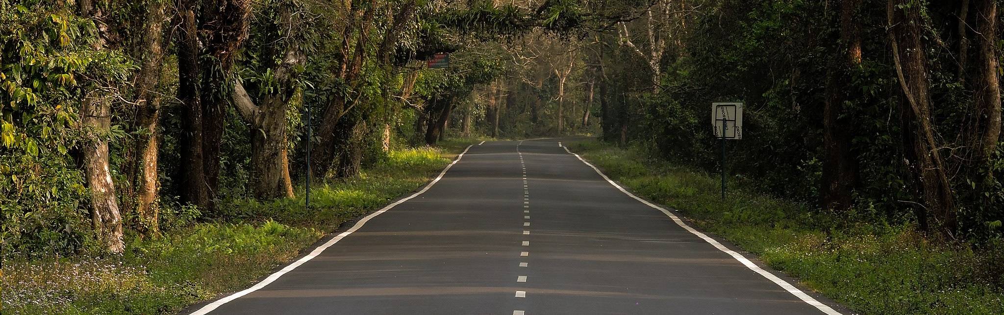 Lataguri Tourism Places To Visit Activities Distance IndiaTravelPage