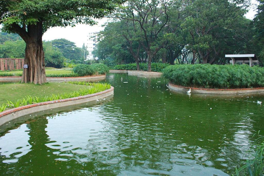 Ponds and trees at Semmozhi Poonga botanical garden in Chennai