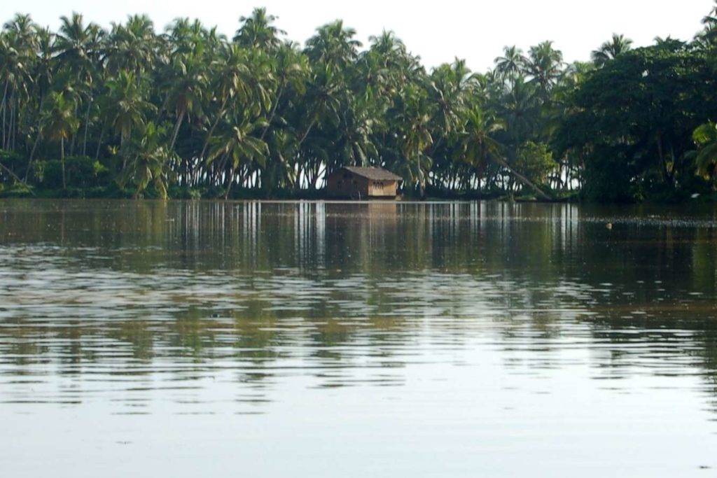 Karamana River with rows of coconut trees