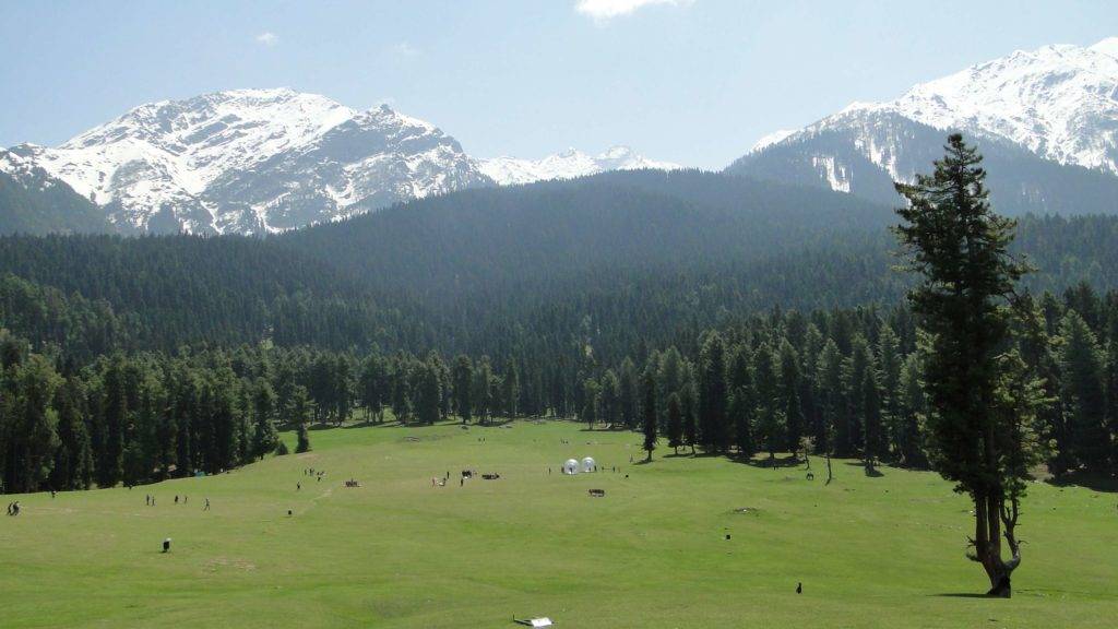 Green fields of Baisaran valley in the backdrop of snow covered mountains