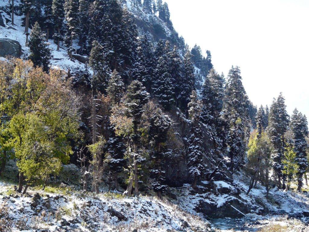 Snow on the mountains at Chandanwari