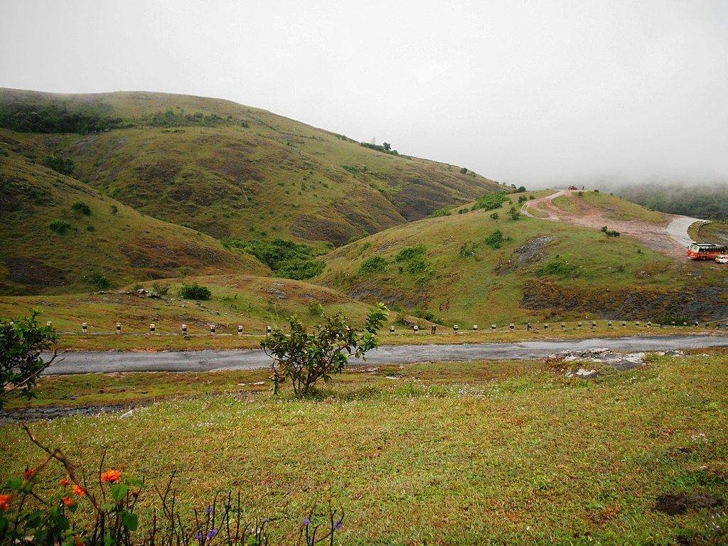 Road going through the Hills at Paruthumpara