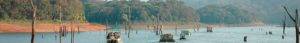 Read more about the article Periyar Sanctuary
