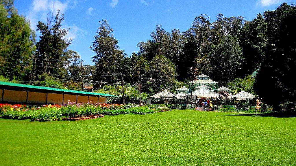 Green fields and Glass Houses under bright sunlight at Ooty Botanical Garden