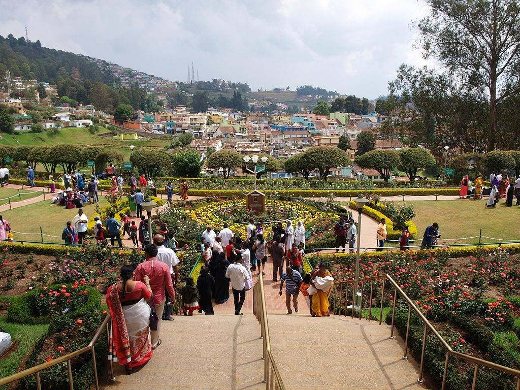 Crowds walking through the rose beds at Rose garden in Ooty