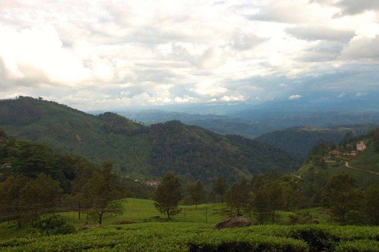 Munnar Landscape from Pothamedu View Point