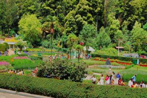 Green trees and gardens at Bryant Park in Kodaikanal