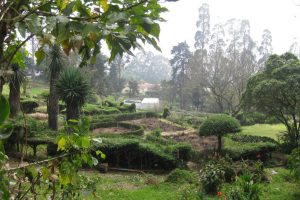 Gardens in Chettiyar Park near Kodaikanal