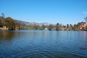 Blue waters of Kodaikanal Lake under a clear sky