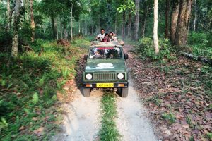 Gorumara Jeep Safari