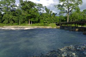 Blue waters of Murti river flowing through the forest