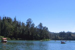 Boating on the blue waters of Ooty lake