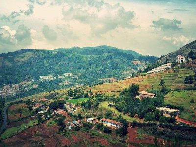 view of green Tiger Hill near Ooty