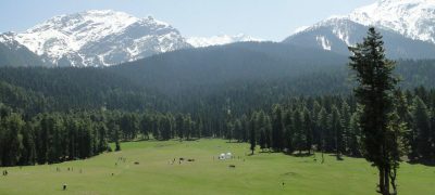 Green fields of Baisaran valley in the backdrop of snow covered mountains