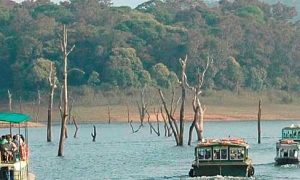 Boating on the lake at Periyar National Park