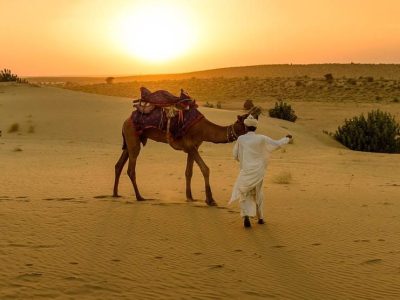 Two camels walking on the deserts at Jaisalmer